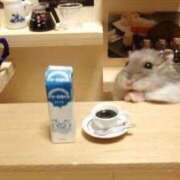 ヒメ日記 2025/12/13 01:33 投稿 体験なな ミセスコレクション