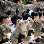 ヒメ日記 2025/12/13 02:09 投稿 体験なな ミセスコレクション