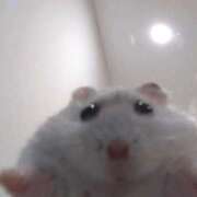 ヒメ日記 2025/12/13 08:03 投稿 体験なな ミセスコレクション