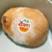 ヒメ日記 2025/12/13 12:09 投稿 体験なな ミセスコレクション