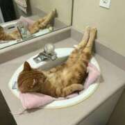 ヒメ日記 2025/12/13 23:33 投稿 体験なな ミセスコレクション