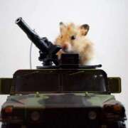 ヒメ日記 2025/12/14 02:13 投稿 体験なな ミセスコレクション