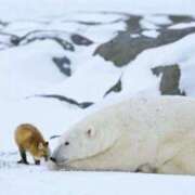 ヒメ日記 2025/12/14 02:17 投稿 体験なな ミセスコレクション