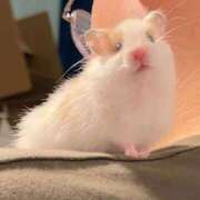 ヒメ日記 2025/12/15 08:14 投稿 体験なな ミセスコレクション