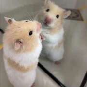 ヒメ日記 2025/12/16 08:13 投稿 体験なな ミセスコレクション