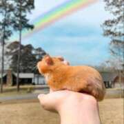 ヒメ日記 2025/12/16 12:20 投稿 体験なな ミセスコレクション