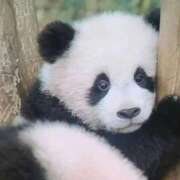 ヒメ日記 2025/12/16 18:03 投稿 体験なな ミセスコレクション