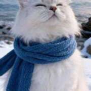 ヒメ日記 2025/12/17 01:13 投稿 体験なな ミセスコレクション