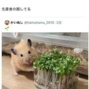 ヒメ日記 2025/12/17 12:15 投稿 体験なな ミセスコレクション