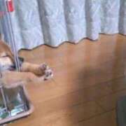 ヒメ日記 2025/12/18 02:57 投稿 体験なな ミセスコレクション