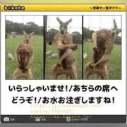 ヒメ日記 2025/12/18 12:07 投稿 体験なな ミセスコレクション