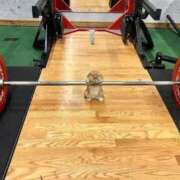 ヒメ日記 2025/12/19 01:30 投稿 体験なな ミセスコレクション