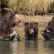 ヒメ日記 2025/12/19 01:53 投稿 体験なな ミセスコレクション