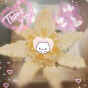 ヒメ日記 2025/12/19 02:08 投稿 体験なな ミセスコレクション