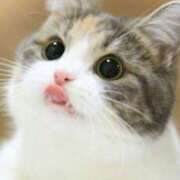 体験なな お昼休憩入りました💕‪︎🌟😊🩷 ̖́- ミセスコレクション