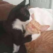 ヒメ日記 2025/12/20 03:14 投稿 体験なな ミセスコレクション