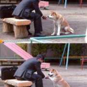 ヒメ日記 2025/12/20 12:07 投稿 体験なな ミセスコレクション