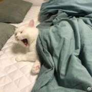 ヒメ日記 2025/12/21 02:27 投稿 体験なな ミセスコレクション