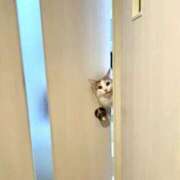 ヒメ日記 2025/12/21 10:03 投稿 体験なな ミセスコレクション