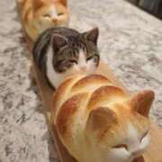 ヒメ日記 2025/12/22 12:08 投稿 体験なな ミセスコレクション