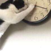 ヒメ日記 2025/12/23 12:08 投稿 体験なな ミセスコレクション