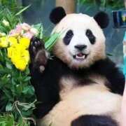 ヒメ日記 2025/12/23 21:09 投稿 体験なな ミセスコレクション