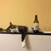 ヒメ日記 2025/12/24 01:03 投稿 体験なな ミセスコレクション