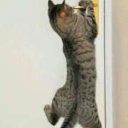 ヒメ日記 2025/12/24 01:23 投稿 体験なな ミセスコレクション