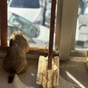 ヒメ日記 2025/12/24 08:03 投稿 体験なな ミセスコレクション