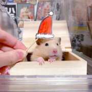 ヒメ日記 2025/12/24 19:14 投稿 体験なな ミセスコレクション