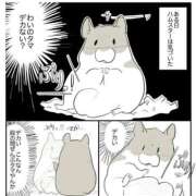 ヒメ日記 2025/12/25 01:23 投稿 体験なな ミセスコレクション