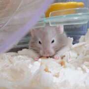 ヒメ日記 2025/12/26 08:03 投稿 体験なな ミセスコレクション