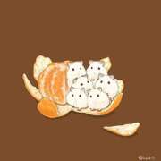 ヒメ日記 2025/12/26 12:09 投稿 体験なな ミセスコレクション