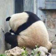 ヒメ日記 2025/12/26 19:53 投稿 体験なな ミセスコレクション