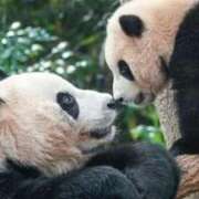 ヒメ日記 2025/12/26 23:02 投稿 体験なな ミセスコレクション