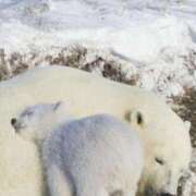 ヒメ日記 2025/12/27 08:03 投稿 体験なな ミセスコレクション