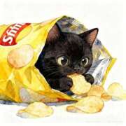 ヒメ日記 2025/12/28 02:36 投稿 体験なな ミセスコレクション