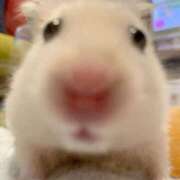 ヒメ日記 2025/12/29 08:13 投稿 体験なな ミセスコレクション