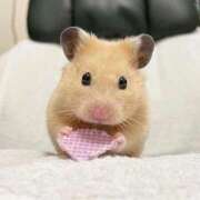 ヒメ日記 2025/12/30 12:06 投稿 体験なな ミセスコレクション