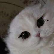 ヒメ日記 2025/12/30 18:13 投稿 体験なな ミセスコレクション