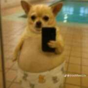 ヒメ日記 2025/12/31 01:43 投稿 体験なな ミセスコレクション