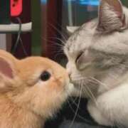 ヒメ日記 2025/12/31 02:00 投稿 体験なな ミセスコレクション