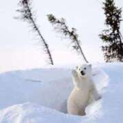 ヒメ日記 2025/12/31 02:13 投稿 体験なな ミセスコレクション