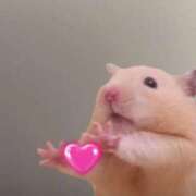 ヒメ日記 2026/01/05 08:03 投稿 体験なな ミセスコレクション