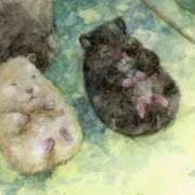 ヒメ日記 2026/01/06 21:03 投稿 体験なな ミセスコレクション