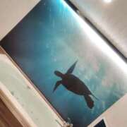 ヒメ日記 2026/01/06 22:53 投稿 体験なな ミセスコレクション