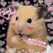 ヒメ日記 2026/01/07 12:48 投稿 体験なな ミセスコレクション