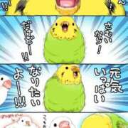 ヒメ日記 2026/01/07 23:33 投稿 体験なな ミセスコレクション