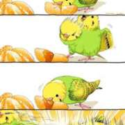 ヒメ日記 2026/01/08 12:17 投稿 体験なな ミセスコレクション