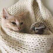 ヒメ日記 2026/01/09 00:03 投稿 体験なな ミセスコレクション